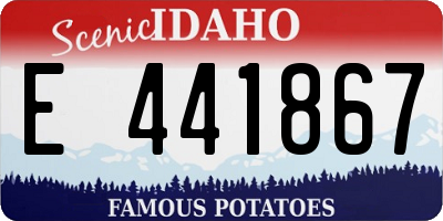 ID license plate E441867