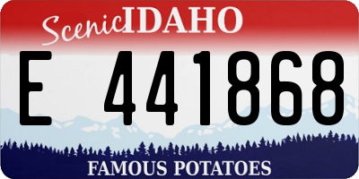 ID license plate E441868