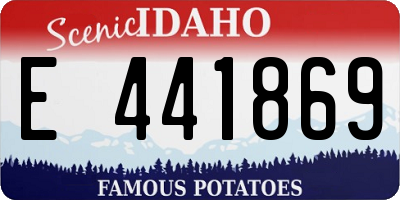 ID license plate E441869