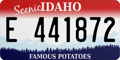 ID license plate E441872