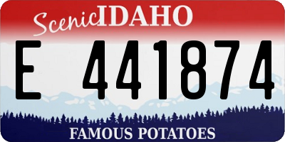 ID license plate E441874