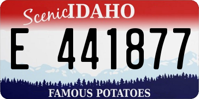 ID license plate E441877