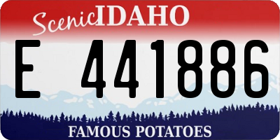 ID license plate E441886