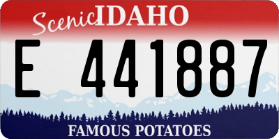 ID license plate E441887
