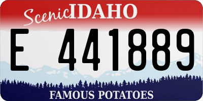 ID license plate E441889