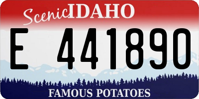 ID license plate E441890