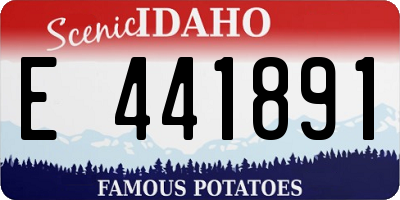 ID license plate E441891