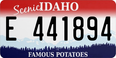 ID license plate E441894