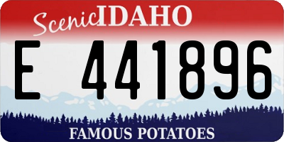 ID license plate E441896