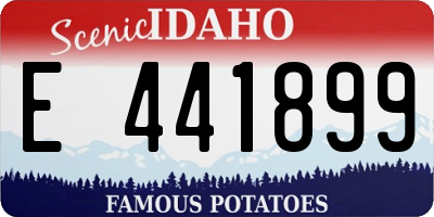 ID license plate E441899