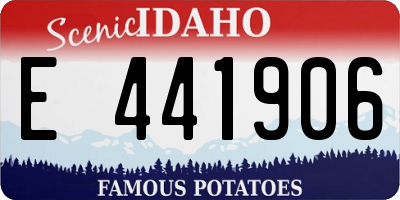 ID license plate E441906