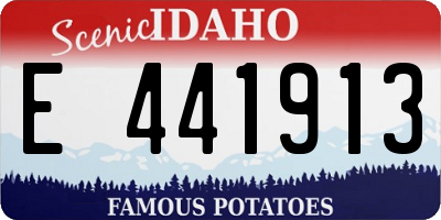 ID license plate E441913