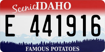 ID license plate E441916