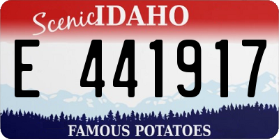 ID license plate E441917