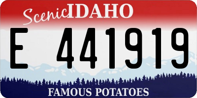 ID license plate E441919
