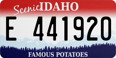 ID license plate E441920