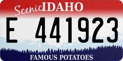 ID license plate E441923