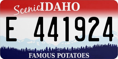 ID license plate E441924