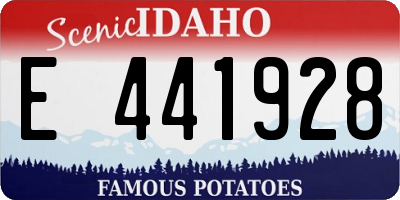 ID license plate E441928