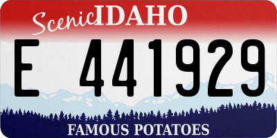 ID license plate E441929