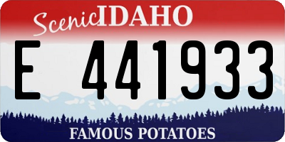 ID license plate E441933