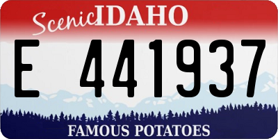ID license plate E441937