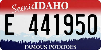 ID license plate E441950