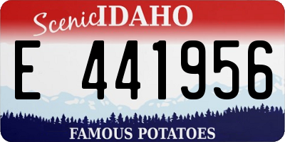 ID license plate E441956
