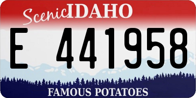 ID license plate E441958