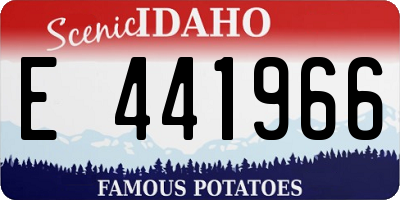 ID license plate E441966
