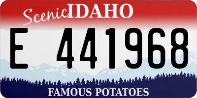 ID license plate E441968