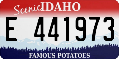 ID license plate E441973