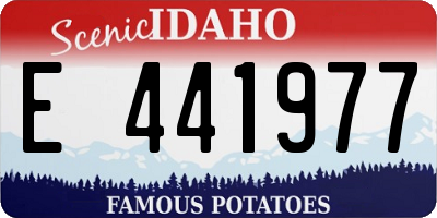 ID license plate E441977