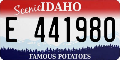 ID license plate E441980