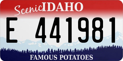ID license plate E441981