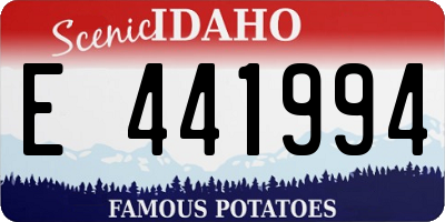 ID license plate E441994