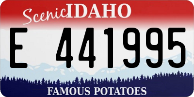 ID license plate E441995