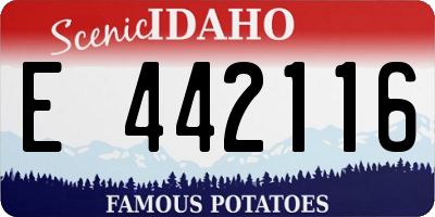 ID license plate E442116