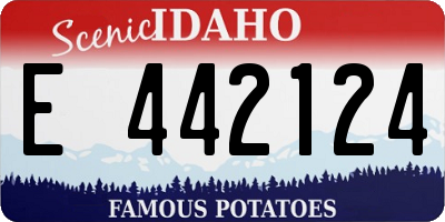 ID license plate E442124
