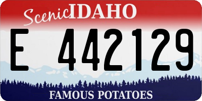 ID license plate E442129