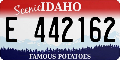 ID license plate E442162