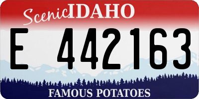 ID license plate E442163