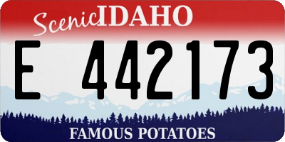 ID license plate E442173