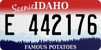 ID license plate E442176