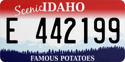 ID license plate E442199