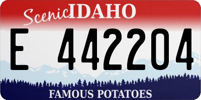 ID license plate E442204
