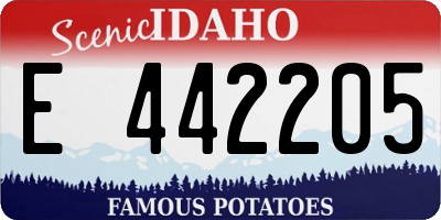 ID license plate E442205