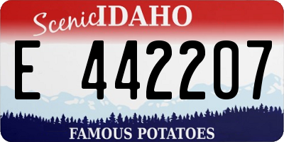 ID license plate E442207