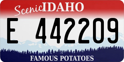 ID license plate E442209