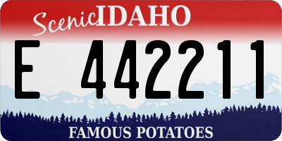 ID license plate E442211
